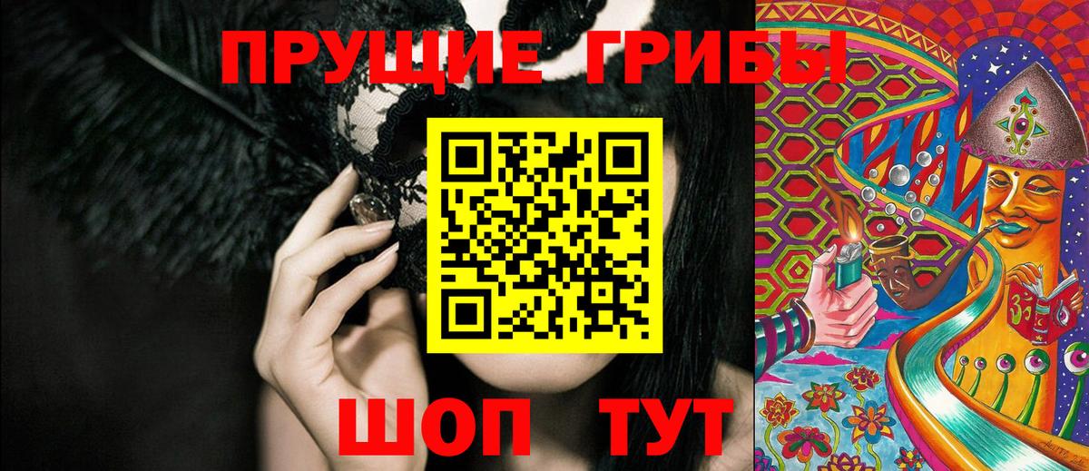 Галлюциногенные грибы мицелий  Вход с VPN  Галлюциногенные грибы Psilocybine cubensis  где купить наркоту  Прохладный 