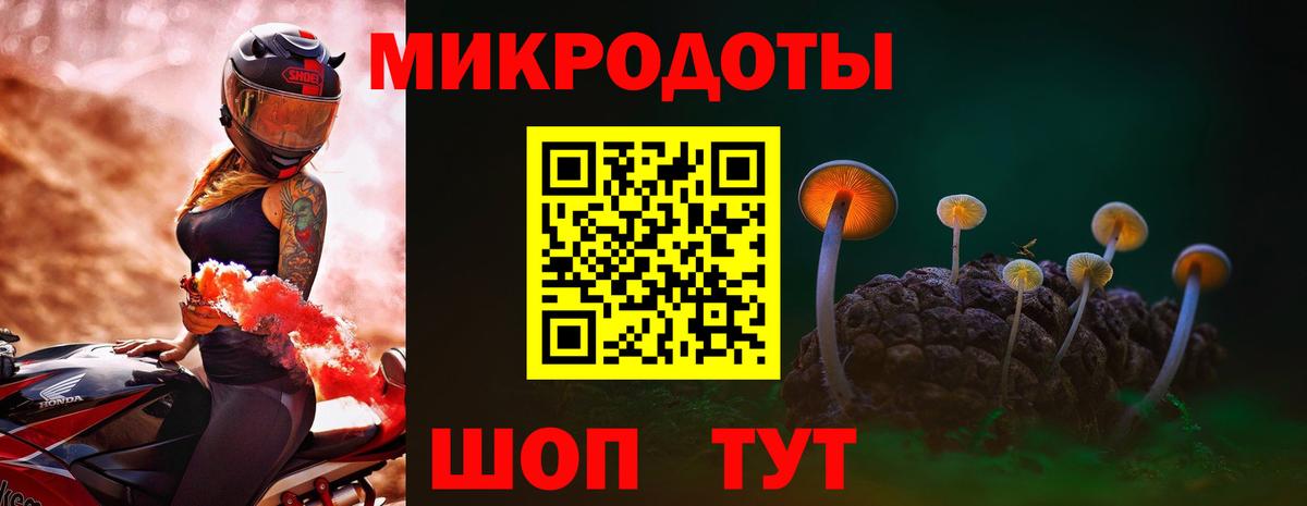 Галлюциногенные грибы GOLDEN TEACHER Прохладный